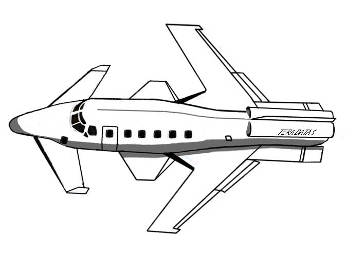 Tera Data 1 aircraft art