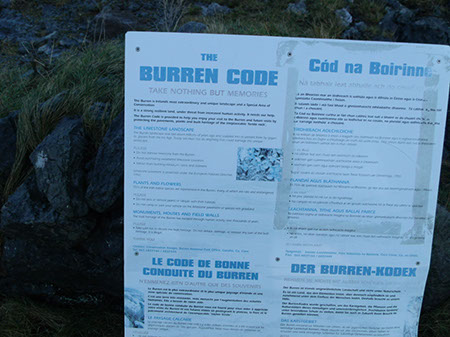 Burren Code