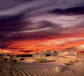 Digital Desert by R. Craig Collins