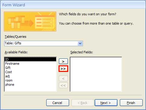 Access Form fields