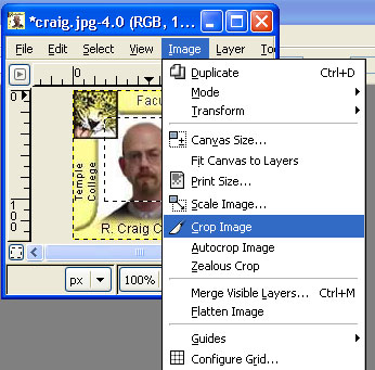 GIMP Crop menu