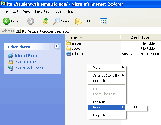 IE ftp browsing