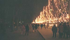 Champs-Elysees