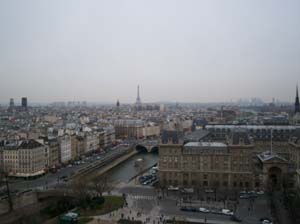 Notre Dame View