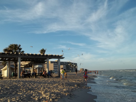 Corpus Christi Beach view