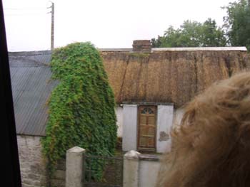 305-thatched