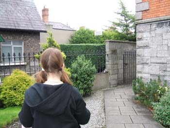 437-cat-at-charleville-lodge