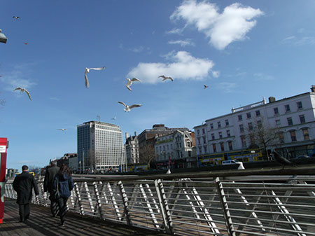 Liffey River Cruise