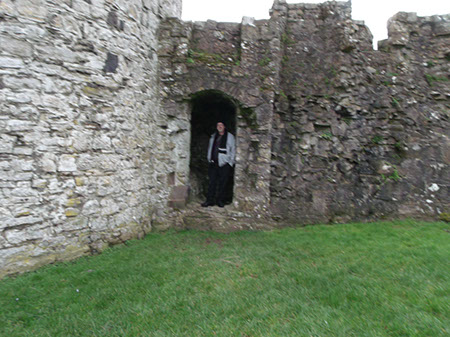 Trim Castle