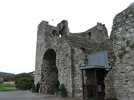 Trim Castle