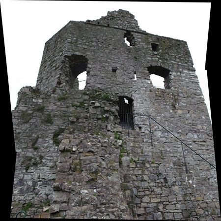 Trim Castle