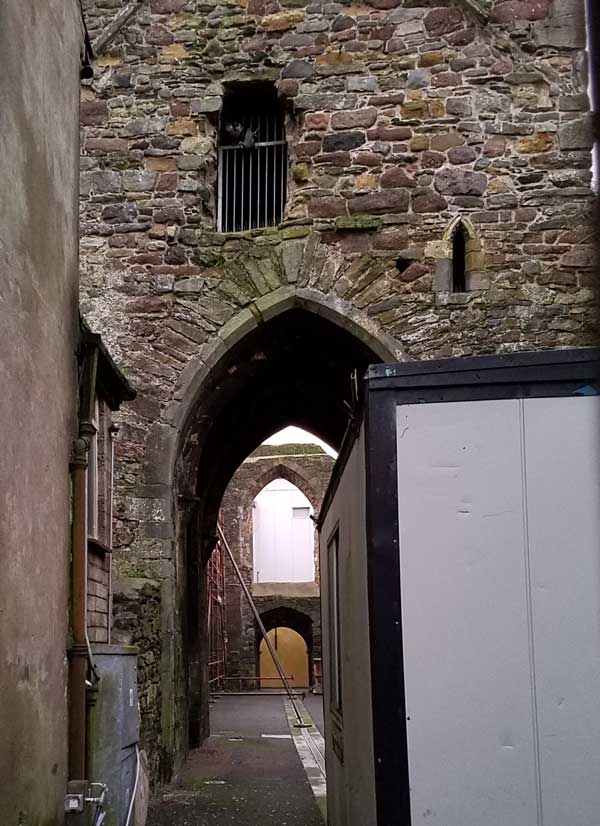 Blackfriars Abbey Ruin, Waterford 
