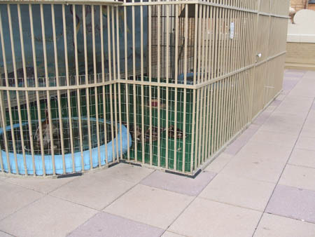 DSCF1400