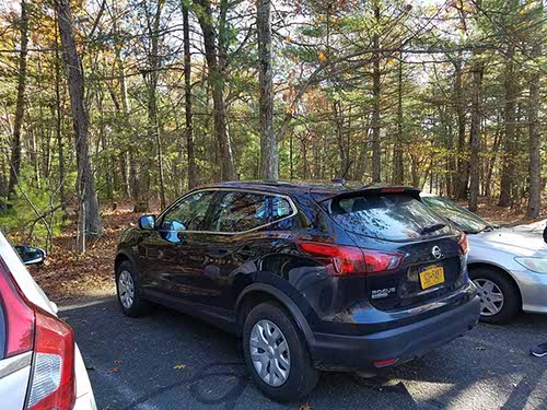 Walden Pond