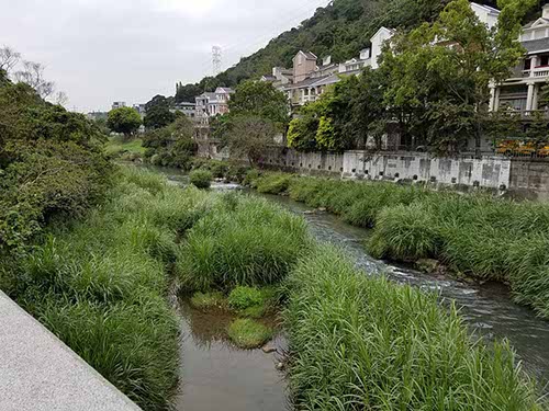 Walking from Shilin to the National Palace