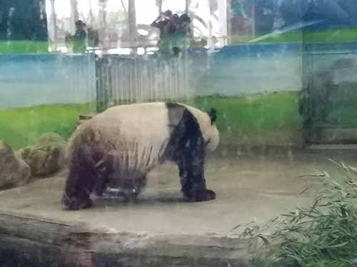 Taipei zoo