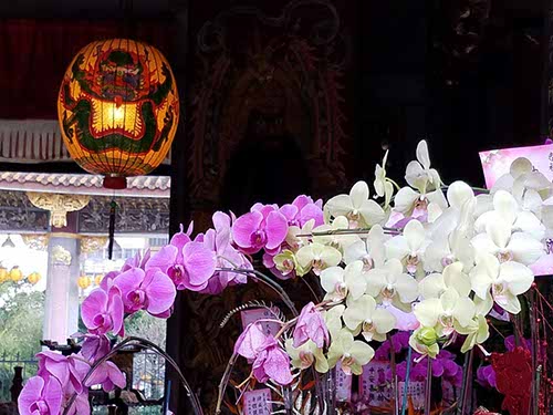 Taipei Bao temple