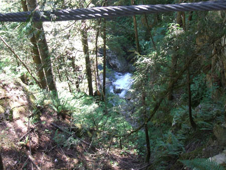 Lyn Canyon