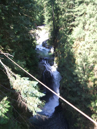 Lyn Canyon