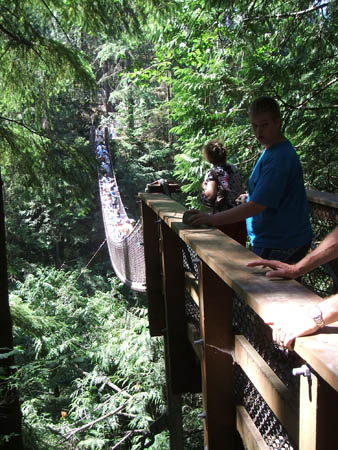 Lyn Canyon