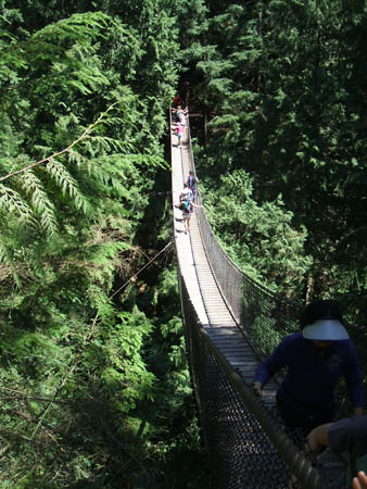 Lyn Canyon