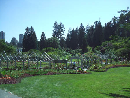 Stanley Park Rose Garden