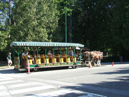 Horse Drawn Trolley in Stanley Park