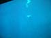 DSCF1256