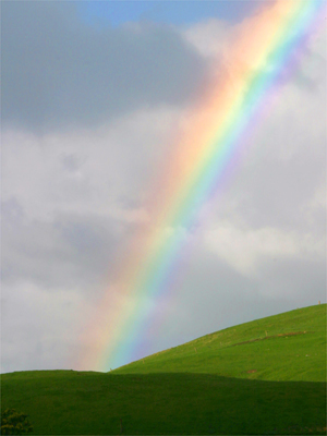 jpg rainbow
